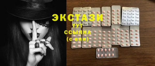 хмурый Богородицк