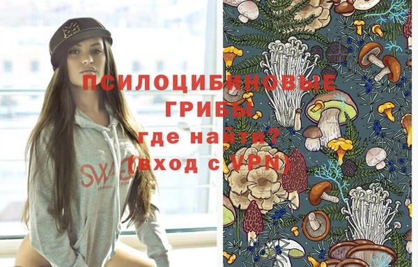 метамфетамин Богданович