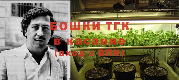 хмурый Богородицк