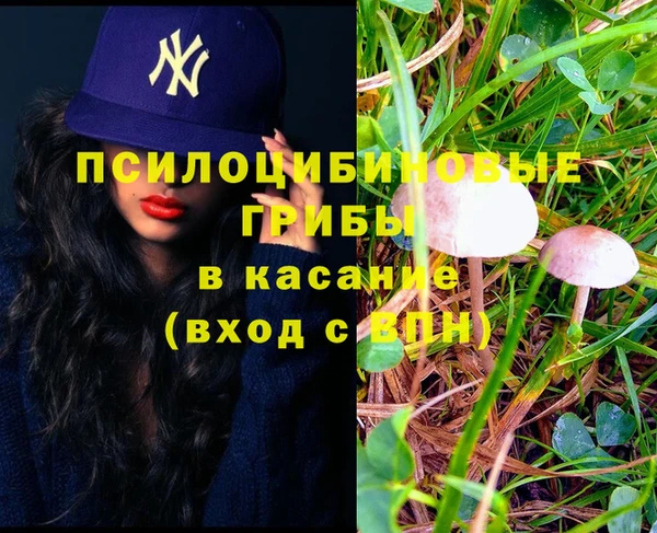 метамфетамин Богданович