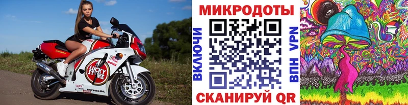 Купить где Нязепетровск Галлюциногенные грибы Psilocybe