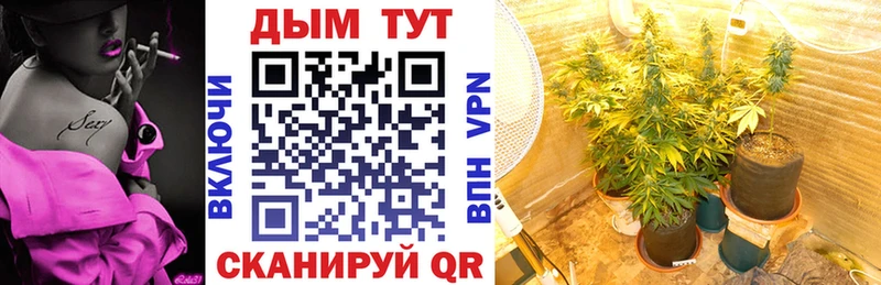Купить закладки  Нязепетровск  Бошки Шишки марихуана 